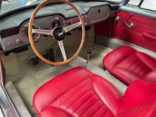 FlaminiaT-11-compressed