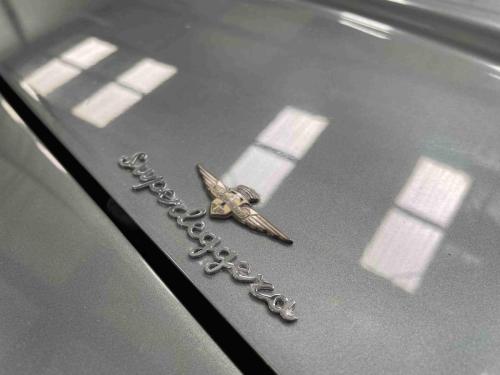 FlaminiaT-15-compressed