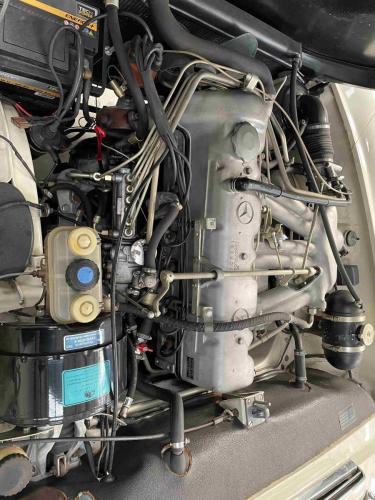 Pagode280-3-compressed