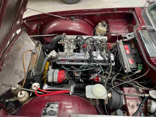 Triumph TR6 PI Bordeaux (24)